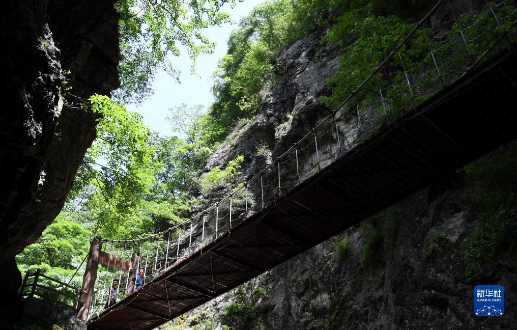 图片.png 图片.png