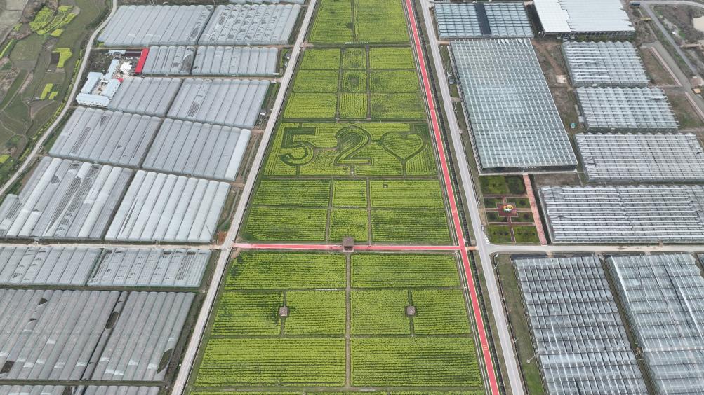 f8f81895422942ba078b5eb56c60bdfa_wVkugQHutJgTN5BF.jpg f8f81895422942ba078b5eb56c60bdfa_wVkugQHutJgTN5BF.jpg