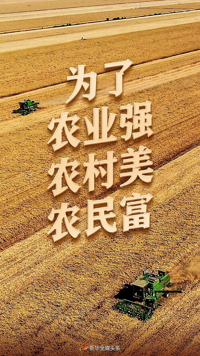 青草影视